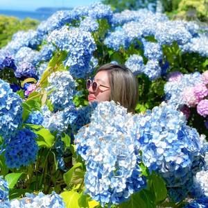 Meet your Posher, Joyce